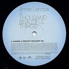 Annie Lennox A Thousand Beautiful Things Uk Dj 12" Rare