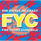 Fine Young Cannibals She Drives Me Crazy Us 12"