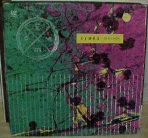 Xymox Obsession 2 mixes , In A City US DJ 12"