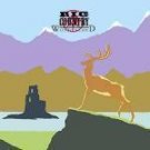 Big Country Wonderland Uk 12"