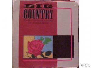 Big Country Where The Rose Is Sown Uk 12"