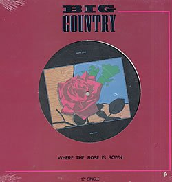 Big Country Where The Rose Is Sown  Huge Pic Center