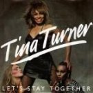 Tina Turner Let's Stay Together Us 12"