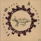 Throwing Muses Hunkpapa Uk 4AD Lp