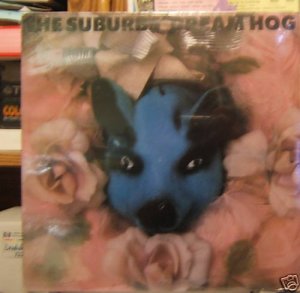 The Suburbs Dream Hog Us Lp