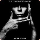 Teardrop Explodes - Wilder - US LP Album