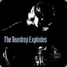 Teardrop Explodes - Self Titled - UK 12" EP