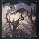 Bauhaus Burning From The Inside LP