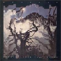 Bauhaus Burning From The Inside LP