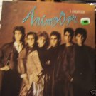 Animotion - I Engineer 2 mixes - German 12"