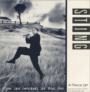 Sting If You Love Somebody Set Them Free Us 12"