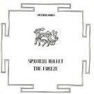 Spandau Ballet - The Freeze 2 mixes - UK 12"