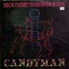 Siouxsie And The Banshees Candyman Uk 12"