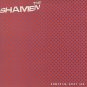 Shamen - Something About You   Uk 12"
