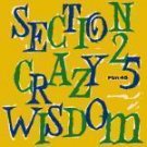 Section 25 Crazy Wisdom,Dirty Disco 12"