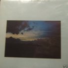 Saints A Little Madness To Be Free France Lp New Rose