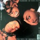 Fishbone In Your Face Us Lp