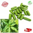 Organic natural Insulin plant Leaf Leaves Capsules(600mg) Fiery Costus/Blood sugar support organic