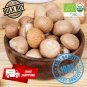 Dried Organic Arecanut/Betel Nut Whole Seeds herbal spices