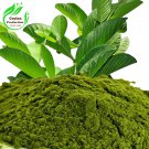 Organic Dried Guava Leaves ground Powder pure For Herbal Tea and Skin Care