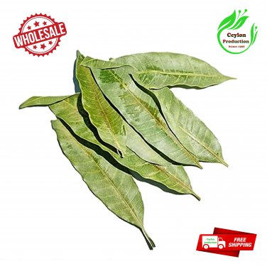 Dried Mango Leaf for tea Homemade From Sri Lanka leaves leave natural organic