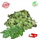 Dried/Dehydrated organic Moringa whole Leaves (Moringa oleifera )pure