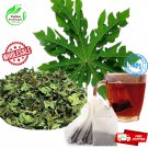 Papaya Leaves herbal Tea Bags Improve Body Immunity system organic pure natural