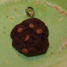 Chocolate cookie with peanut butter chips