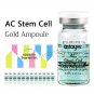 Stayve BB Cream Glow 12 vials/box Korea 8ml BB Cream Glow Starter Kit Foundation