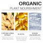30ML Turmeric Facial Essence Can Penetrate The Epidermis Deeply Nourishing