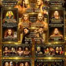 Aew wrestle dynasty 2025 with countdown w/dvd sleeve dvd