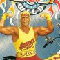 Wcw bash at the beach 1996/wcw hog wild 1996/wcw fall brawl 1996 w/dvd sleeve dvd