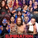 Wwe elimination chamber 2019 with countdown w/dvd sleeve dvd