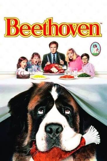 Beethoven 1-4 w/dvd sleeve dvd