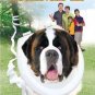 Beethoven 1-4 w/dvd sleeve dvd