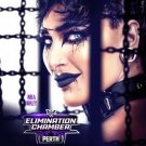Wwe elimination chamber 2024 with countdown w/dvd sleeve dvd Wwe elimination chamber 2024 with countdown w/dvd sleeve dvd