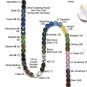 Tara Tiara Comb by Elizabeth Claire