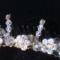 Shooting Star Petite Tiara Comb