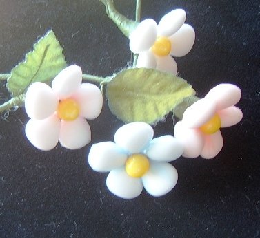 One Dozen Italian Daisy Favors