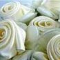 One Dozen Satin Rose Italian Confetti Flowers