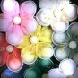 One Dozen Margheritini Daisy Italian Wedding Flowers