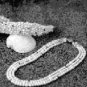 Winters and Rain Bonniecrest Pearl & Tanzanite Band