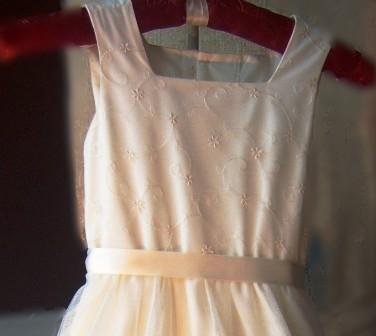Luli & Me Ivory Embroidered English Net Special Occassion Dress