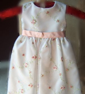 Climbing Pink Roses Infant  Special OccassionDress by Sara Lene