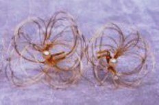 Plumeria Hair Pins in spun Silver or Gold with tiny Swarovski Crystals & Freshwater pearls