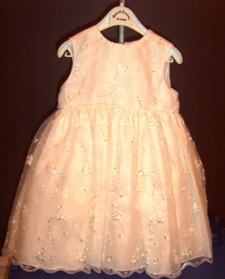 Embroidered English Net Dress by Sarah Louise