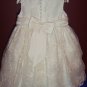 Embroidered English Net Dress by Sarah Louise