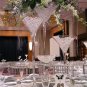 The Monster XL Martini Glass Centerpiece
