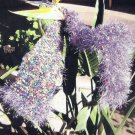 HOW TO Knitting Pattern Knit Faux Fun Fur Scarf Soft Designer Scarves 227 GIFT