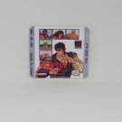 Fist of the North Star (USA) Game Boy / GameBoy GB replacement Label